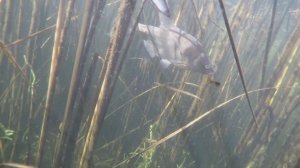 Рассчитывал на большее