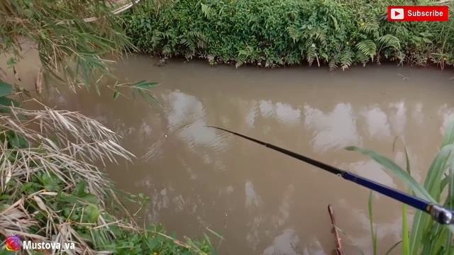 AWALNYA RAGU MANCING IKAN DISINI .. TAK DI SANGKA ADA IKAN MONSTERNYA смотреть онлайн