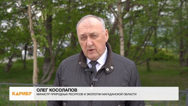 Министр природных ресурсов региона: "Ситуация с пожарами на Колыме развивается по среднему сценарию смотреть онлайн