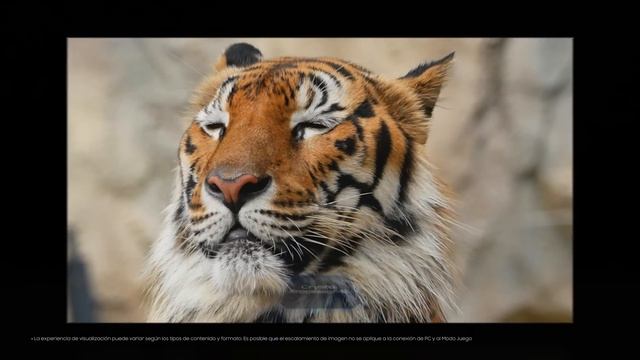 TV Crystal UHD | Claramente la mejor opción смотреть онлайн