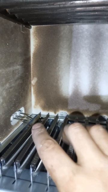 10 декабря 2023 г.