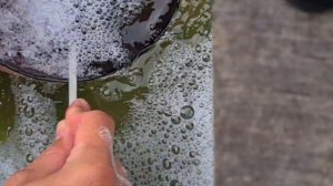 КАК УБРАТЬ СКОЛ С ТАРЕЛКИ