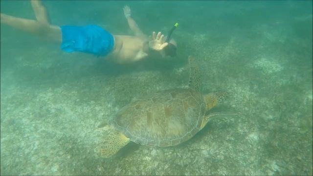 AKUMAL MEXIQUE смотреть онлайн