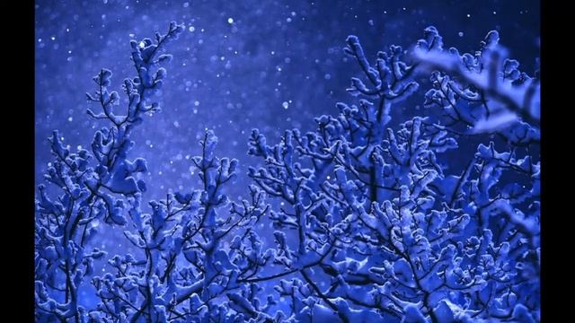 Снежные тропы или всё может быть. Глава 4. «Мишка на севере» смотреть онлайн