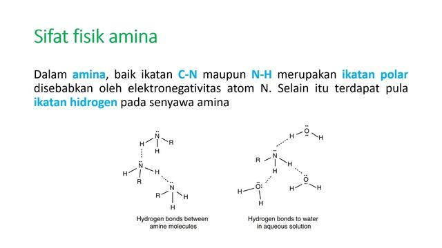 Kimia Organik (Gugus Fungsi) - Amina смотреть онлайн