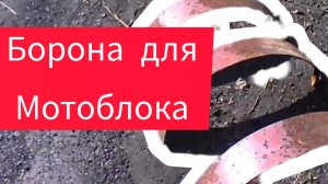 Борона для мотоблока своими руками.