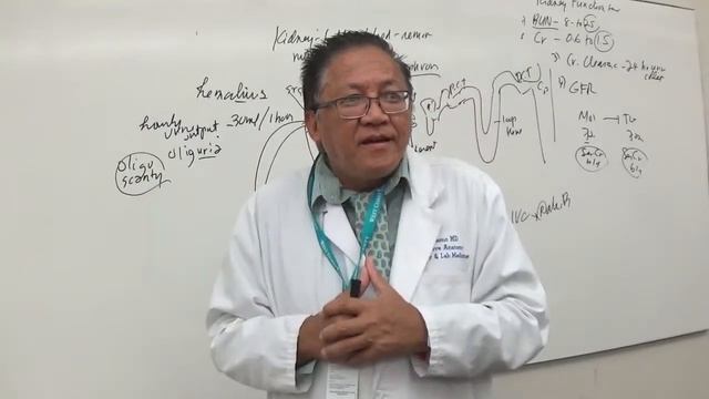 Path370TBKidneyReproJuly202018MAH00101 смотреть онлайн