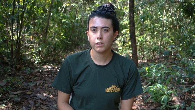 Conservation in Cambodia: Wildlife Alliance past and present смотреть онлайн