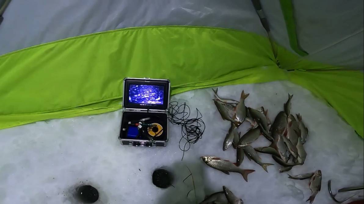 Как собрать рыбу на точку? Прикормка с вашей кухни, проверенный способ. 05.03.2022 смотреть онлайн