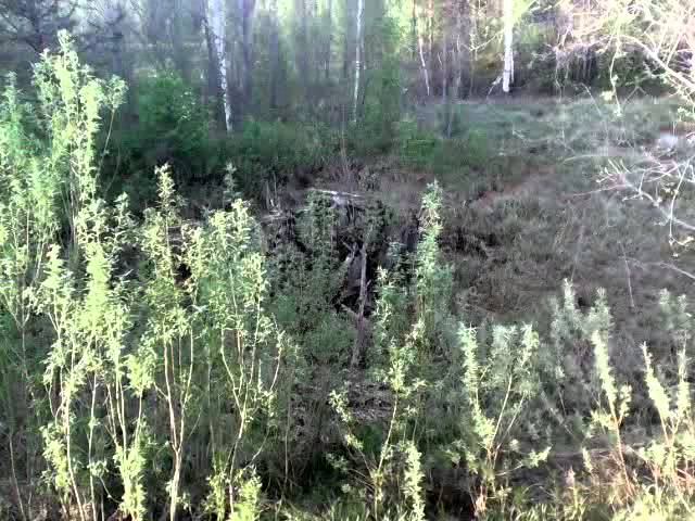 Поиск монет. По старой дороге. смотреть онлайн