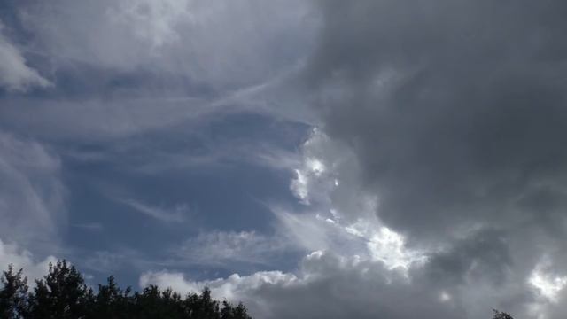 Стихи. В дождливый день смотреть онлайн