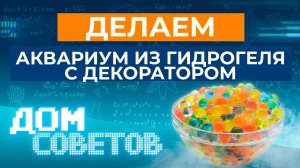 Делаем аквариум из гидрогеля с декоратором