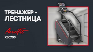 Профессиональный Тренажер – Лестница Impulse XSC700