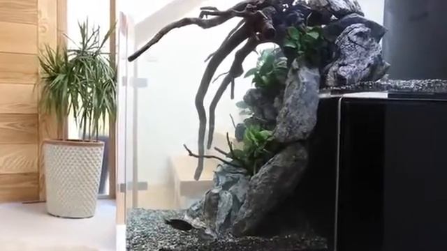 Amin Aquatics Custom Acrylic Drop Off Tank смотреть онлайн