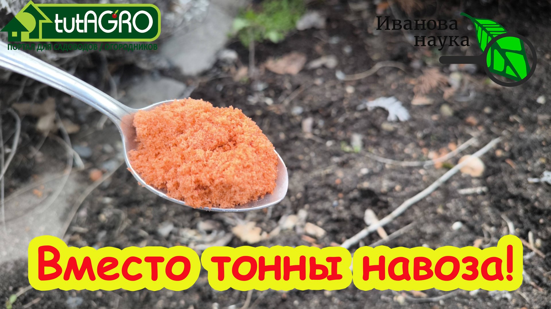 ЭТО ЗАМЕНЯЕТ ТОННУ НАВОЗА! Использую это в огороде не первый год и урожай огромный! смотреть онлайн