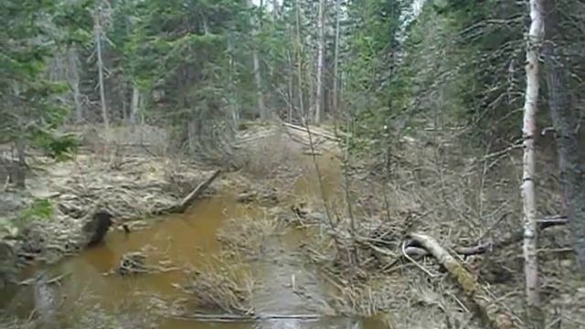 Череп и кости смотреть онлайн
