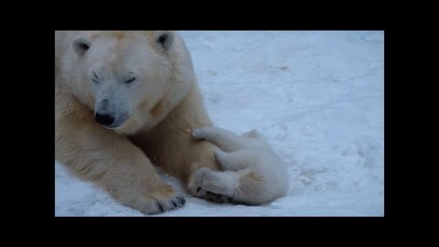 Герда и малыш смотреть онлайн