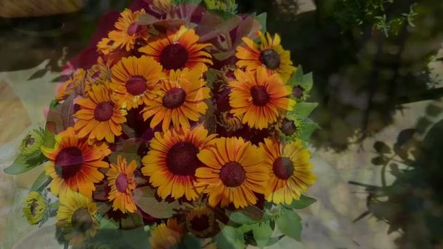 Mon jardin au Paradis смотреть онлайн