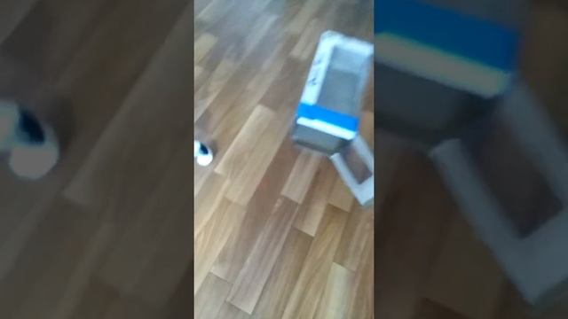 Беляш и коробка смотреть онлайн