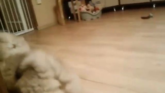 Жерис и Жайсан 6 смотреть онлайн