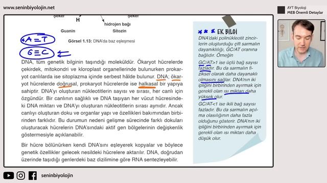 POTANSİYEL ÖSYM SORUSU ! DNA'YI OLUŞTURAN ZİNCİRLERİN HANGİ DOĞRULTUDA İLERLEYECEĞİ SORUNSALI ? смотреть онлайн
