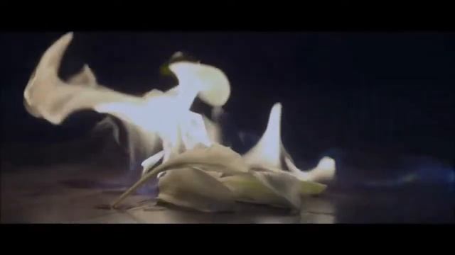 || KimSeokJin || смотреть онлайн