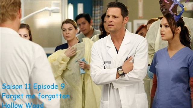 Grey's anatomy S11E09 - Forget me forgotten - Hollow Wood смотреть онлайн
