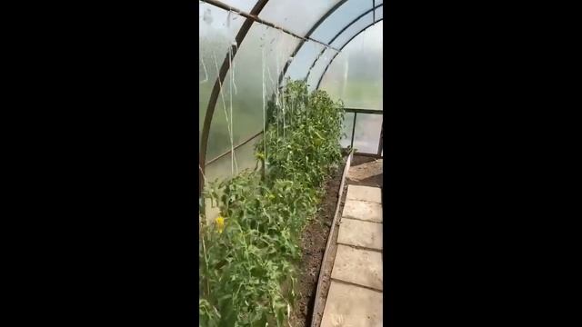 Рифат Зарипов показывает загородный дом и катается на лодке смотреть онлайн