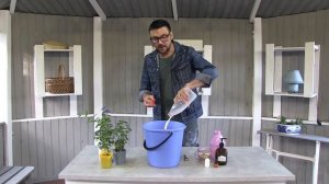 "Усадьба": "Фитоаптека с Виталием Декабрёвым"