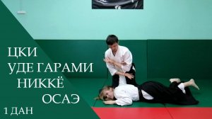 Цки - уде гарами никкё осаэ