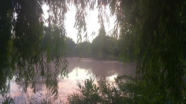 Поселок Капельница смотреть онлайн