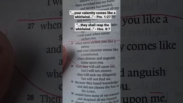 Are you trapped in familiar cycles? #Whirlwind curses. (Proverbs 1, Hosea 8) смотреть онлайн