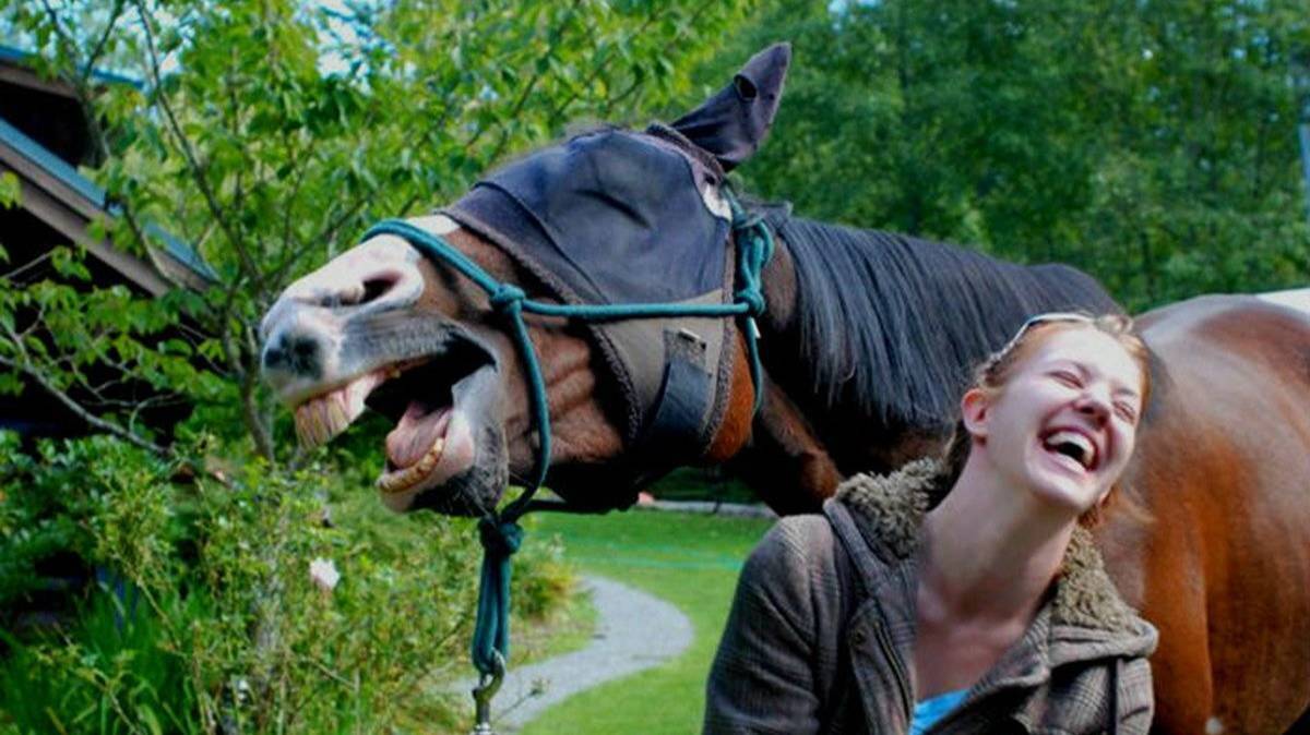 Я РЖАЛ ДО СЛЕЗ 😂 5 Минут ОТБОРНЫХ Русских приколов 2024 Смешные видео - Лучшие ПРИКОЛЫ смотреть онлайн