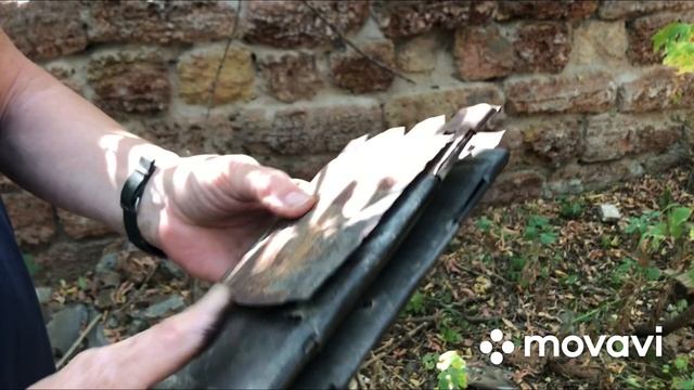 Черноморская тарань! Чудо Печка! Затока! смотреть онлайн