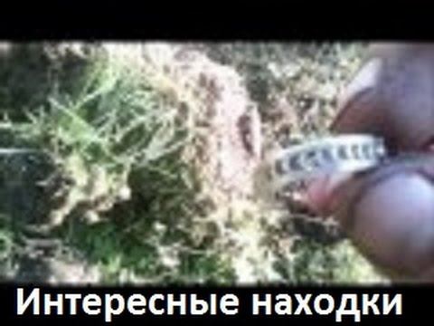 Интересные находки. смотреть онлайн