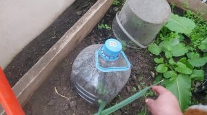 Зима с Весной, забыли кто кого провожает..