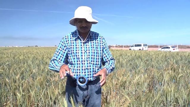 Ravi Singh - Integrating New Plant Breeding Technologies смотреть онлайн