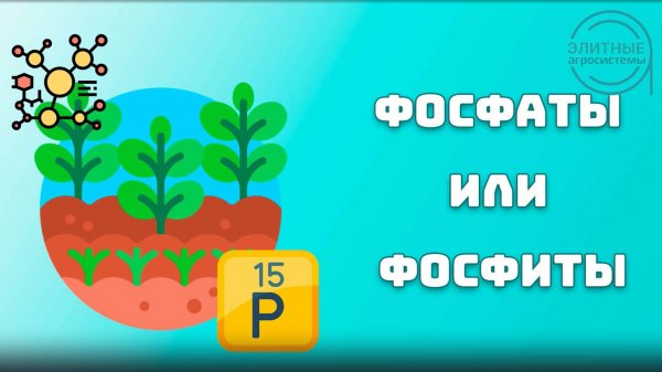 Фосфит или фосфат? Тренд или польза?