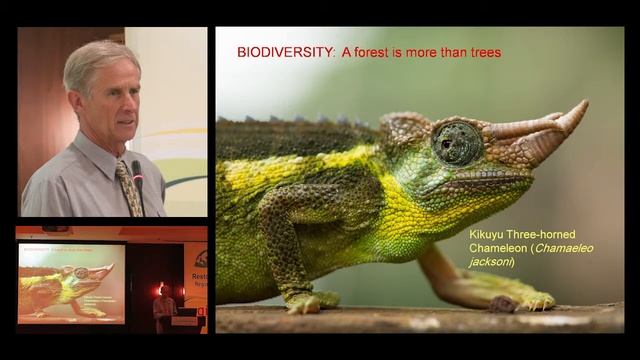 Brakenhurts Botanic Garden and Native Forest in Kenya, ERA Symposium, 2015 смотреть онлайн