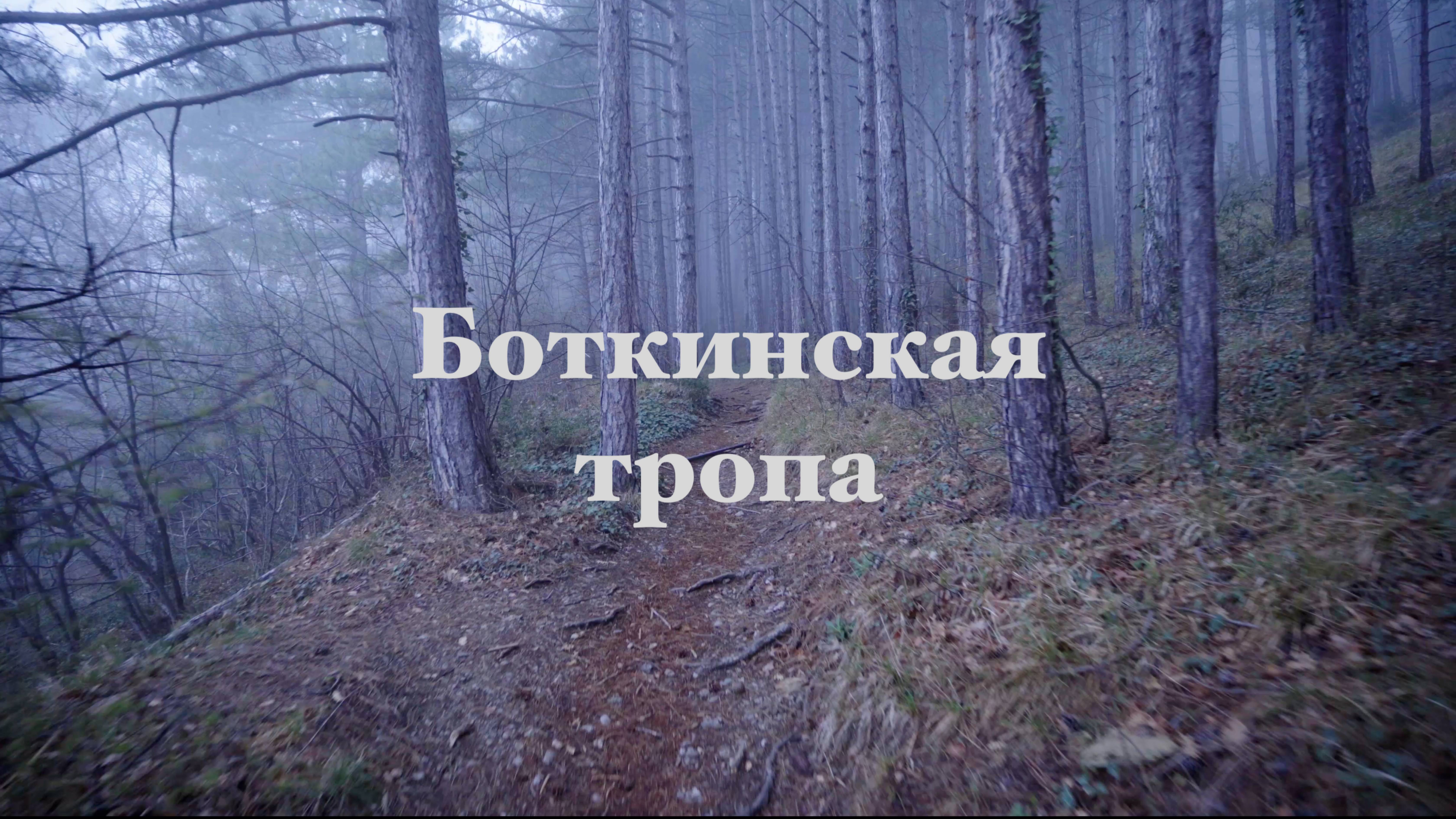 Боткинская тропа. Ялта. Крым. смотреть онлайн