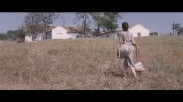 ОГНИ ПРИТОНА.