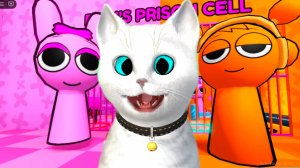 РОБЛОКС ПОБЕГ ОТ ОРЕНА И ПИНКИ СПРУНКИ КОТЁНОК КРОНОС