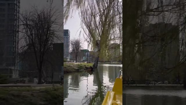 Прогулка по Симферополю. Гагаринский парк в Симферополе. смотреть онлайн