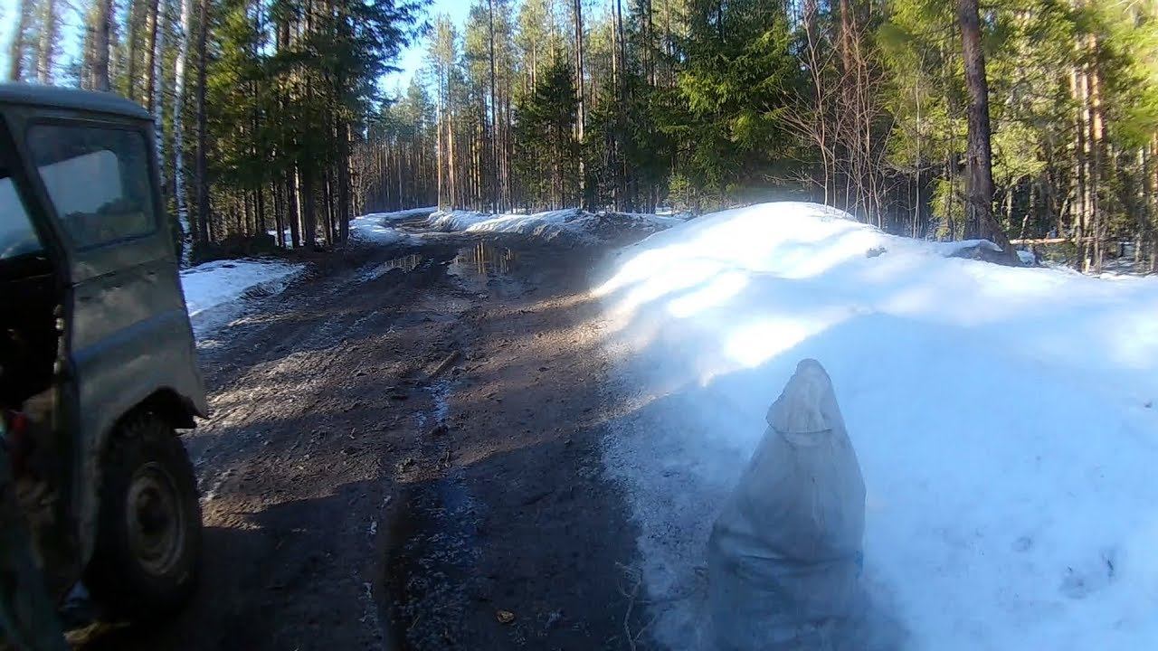 Покатушки по весеннему лесу! Сбор берёзовой чаги. смотреть онлайн
