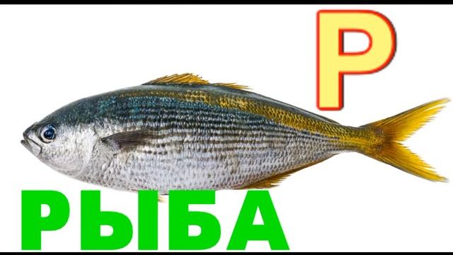 АЗБУКА. АЛФАВИТ. УЧИМ БУКВЫ ПОД КЛАССИЧЕСКУЮ МУЗЫКУ. РАЗВИТИЕ МОЗГА. смотреть онлайн