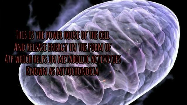 Song on Cell and It's Parts смотреть онлайн