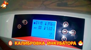 Как настроить дисплей инкубатора HHD EW-32А и EW-32C mini и калибровка датчика температуры 🥚🐣🐤