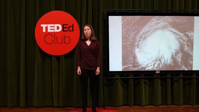 Oil and its negative effects on the Earth | Freya Steed | Springwater Environmental Sciences School смотреть онлайн