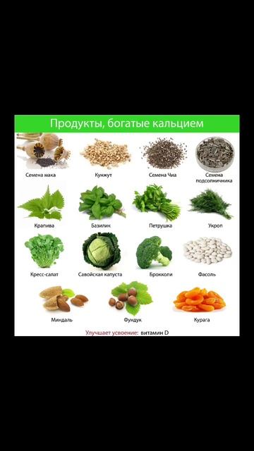 Продукты богатые кальцием смотреть онлайн