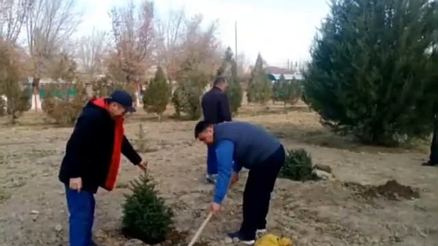 Сыдық Абланов атындағы орта мектебінде "Тәуелсіздікке тарту" атты акция ұйымдастырылды. смотреть онлайн